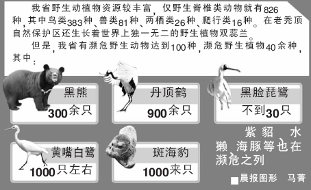 回新之 第2页