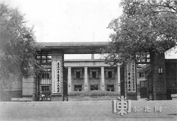 野娅芳 第2页