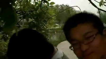老杨 第2页