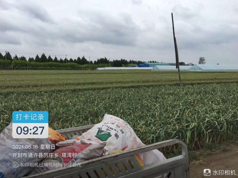 昌香 第2页