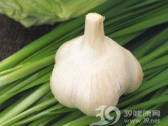 刑杰 第2页