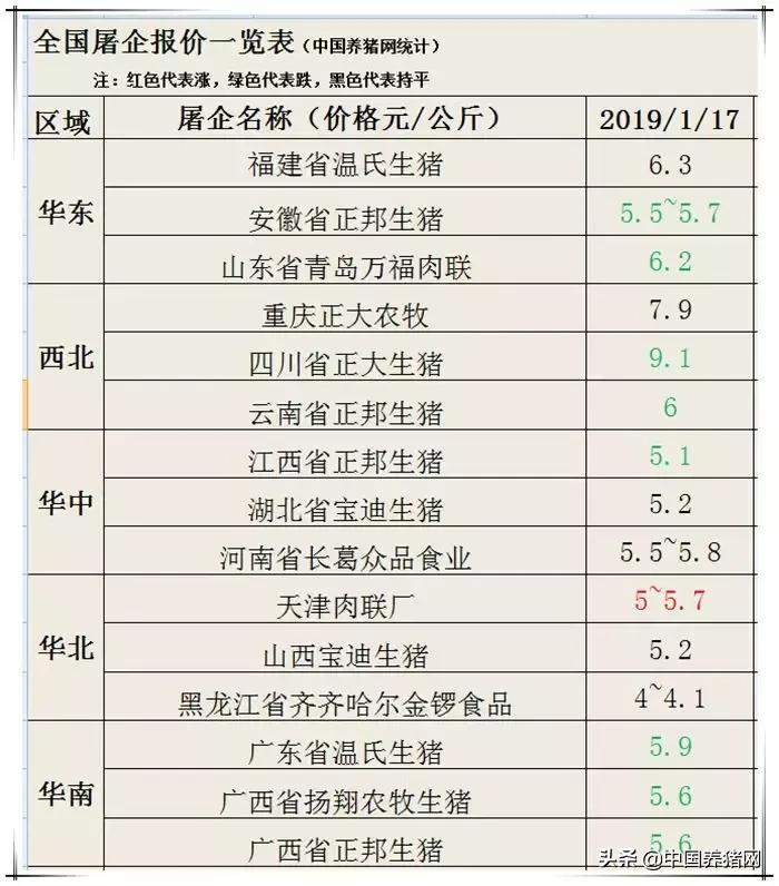 肥猪价格与猪价最新动态，市场走势分析与预测报告