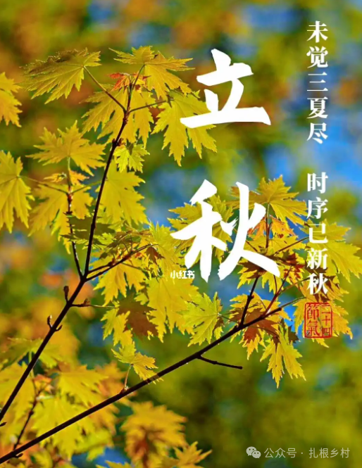 润野